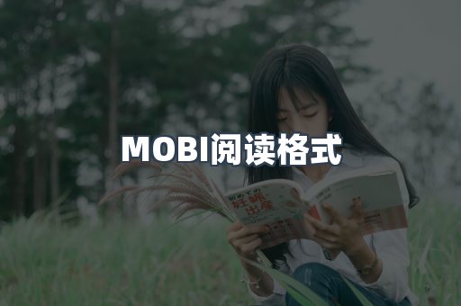 外文电子书系列